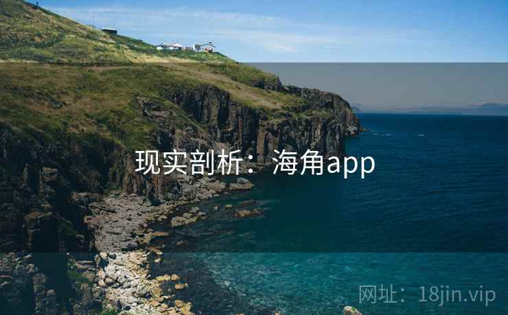 现实剖析:海角app
