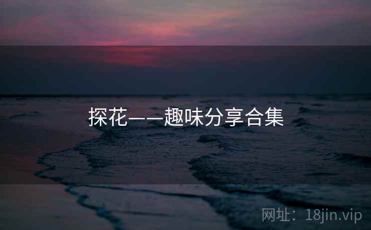 探花——趣味分享合集