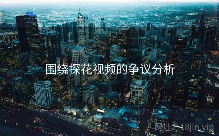 围绕探花视频的争议分析