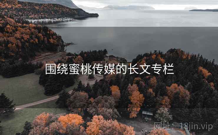 围绕蜜桃传媒的长文专栏