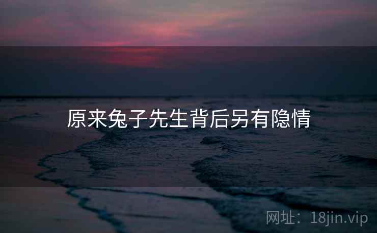原来兔子先生背后另有隐情